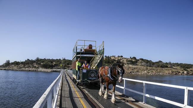 The horse-drawn tram heads away from Granite Island. Picture: Mike Burton