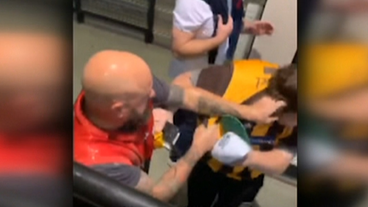 Hawthorn fan bashed during brawl at MCG