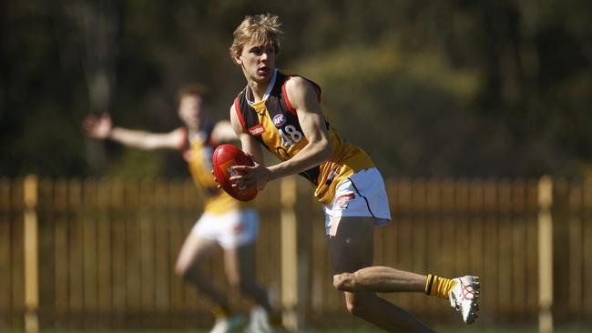 Hopkins. (Photo by Daniel Pockett/AFL Photos/via Getty Images)