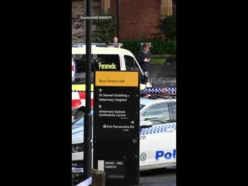 Teen arrested after alleged stabbing at University of Sydney