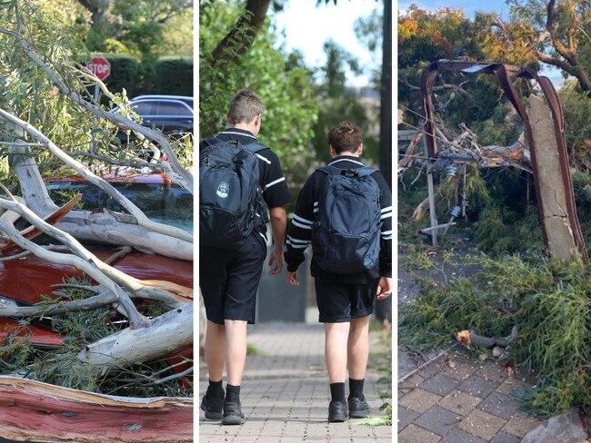 10 schools closed due to wild storm that lashed Adelaide