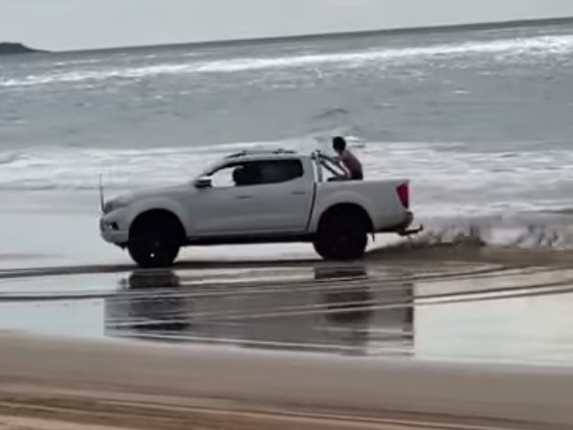 A video of beach hoons. Credit Aussie Destinations Unknown.