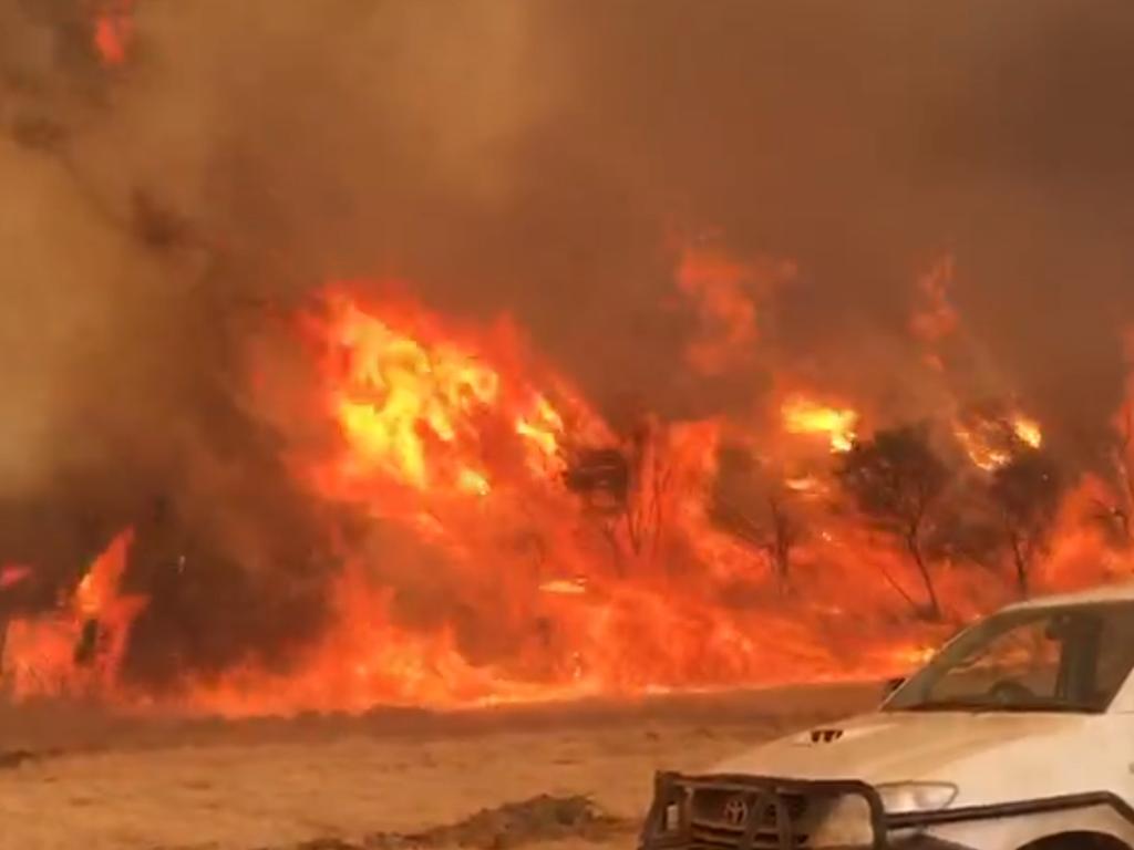 Images of the bushfire on Kangaroo Island in January 2020 horrified the world. Picture: Brenton Davis