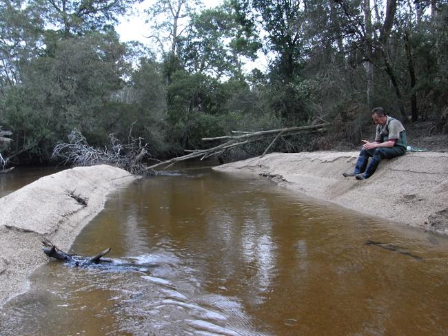 Tasmanian crayfish expert Todd Walsh told a Senate inquiry the vulnerable species is struggling to survive because its habitat is being covered by volumes of fine sand. Picture: SUPPLIED