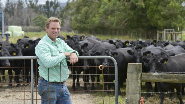 Tim Wilson from Labertouche. Picture: Dannika Bonser