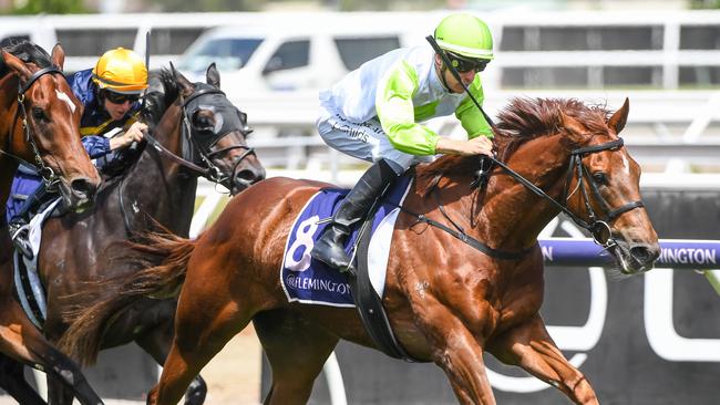 Brad Waters is giving Long Arm another chance. Picture: Racing Photos via Getty Images