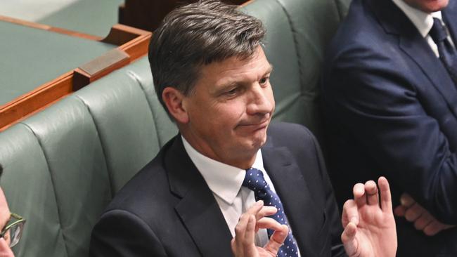 Federal Opposition treasury spokesman Angus Taylor. Picture: Martin Ollman