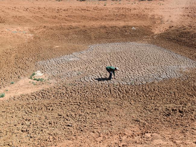 A farmer inspects his property at Langawirra Station north of Broken Hill, on Monday, August 20. (AAP Image/David Mariuz)