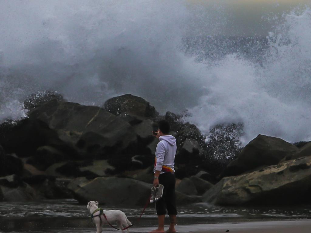 LOS ANGELES, CA - JANUARY 15: A man takes a picture of the big waves in the breakwater in Venice beach while he walks with his dog on January 15, 2022 in Los Angeles, California. A tsunami advisory was in effect for the West Coast of the United States as well as Hawaii and Alaska after an undersea volcano erupted in the Pacific Ocean near Tonga.   Apu Gomes/Getty Images/AFP == FOR NEWSPAPERS, INTERNET, TELCOS & TELEVISION USE ONLY ==
