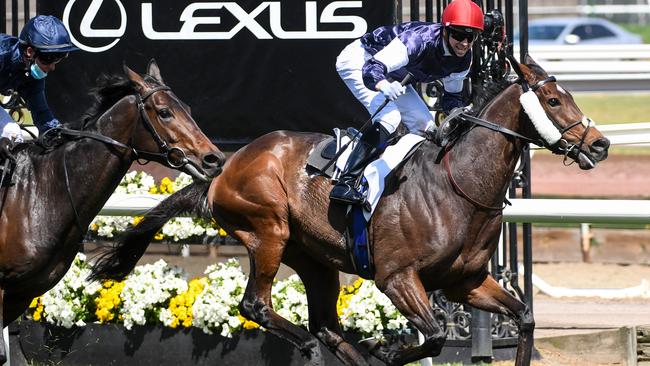 Twilight Payment and Jye McNeil cross the line to win Melbourne Cup.