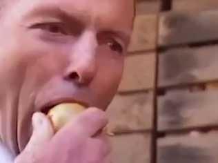 Prime Minister Tony Abbott was given an onion to inspect while touring a farm in Tasmania. It was a very nice-looking, as onions go, but no-one really expected him to just crunch into it did they?