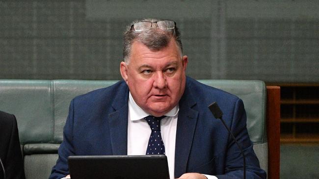 Craig Kelly ar the House of Representatives. Picture: AAP