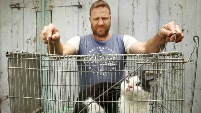 Christian Smits with a feral cat he caught in his back yard. Picture: John Appleyard