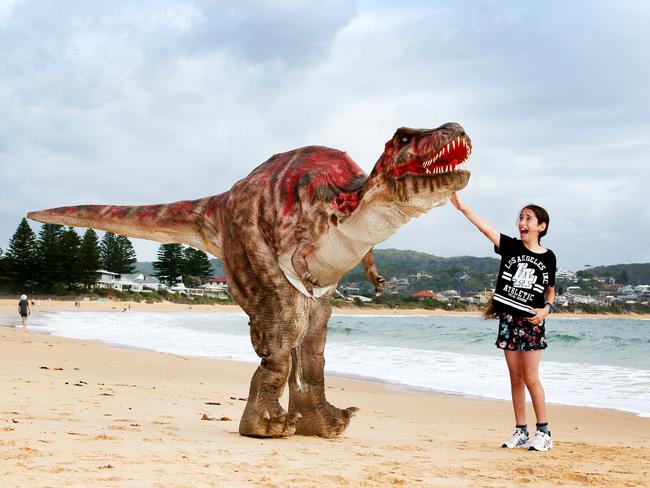 Valentina Giglio, 10, from St Johns Park, meets T-Rex, the dinosaur, from the Australian Reptile Park, while on school holidays at Terrigal Beach. Picture:Peter Clark