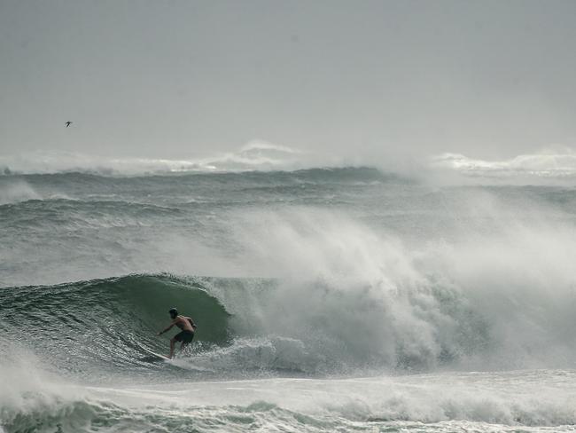 BYRON BAY, AUSTRALIA - NewsWire Photos - MARCH 3, 2025: Tourists and Locals ignore ÃÆÃâ Beach Closed ÃÆÃâ signs as a large a swell hits AustraliaÃÆÃâ¢s east coast ahead of the Cat 32 Cyclone AlfredÃÆÃâ¢s arrival this week.Picture: NewsWire / Glenn Campbell