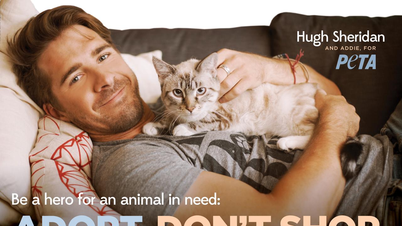 Hugh Sheridan PETA campaign.