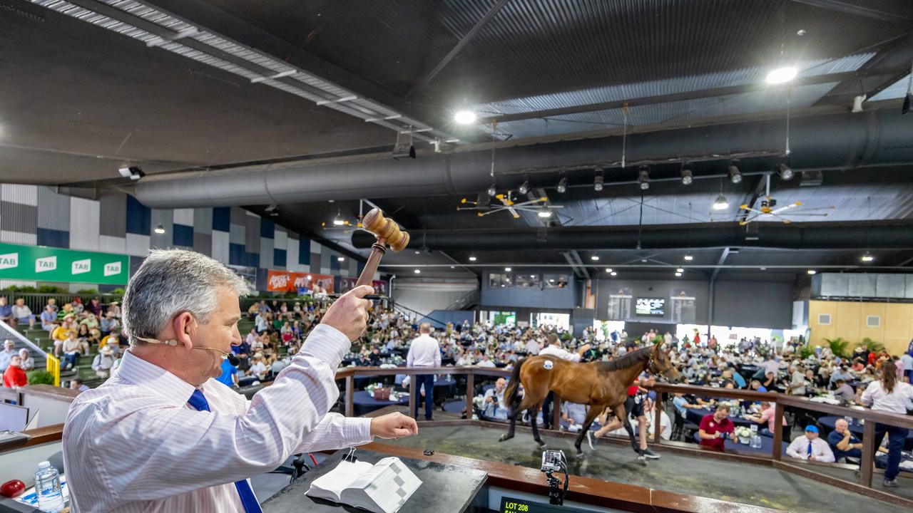 Auctioneer Steve Davis in action during day two of the Magic Millions sales. Picture by Luke Marsden.