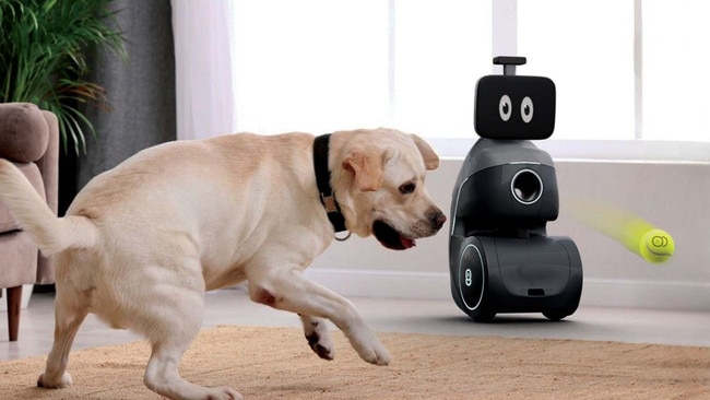 The ORo robot claims to be able to play fetch with your pooch.