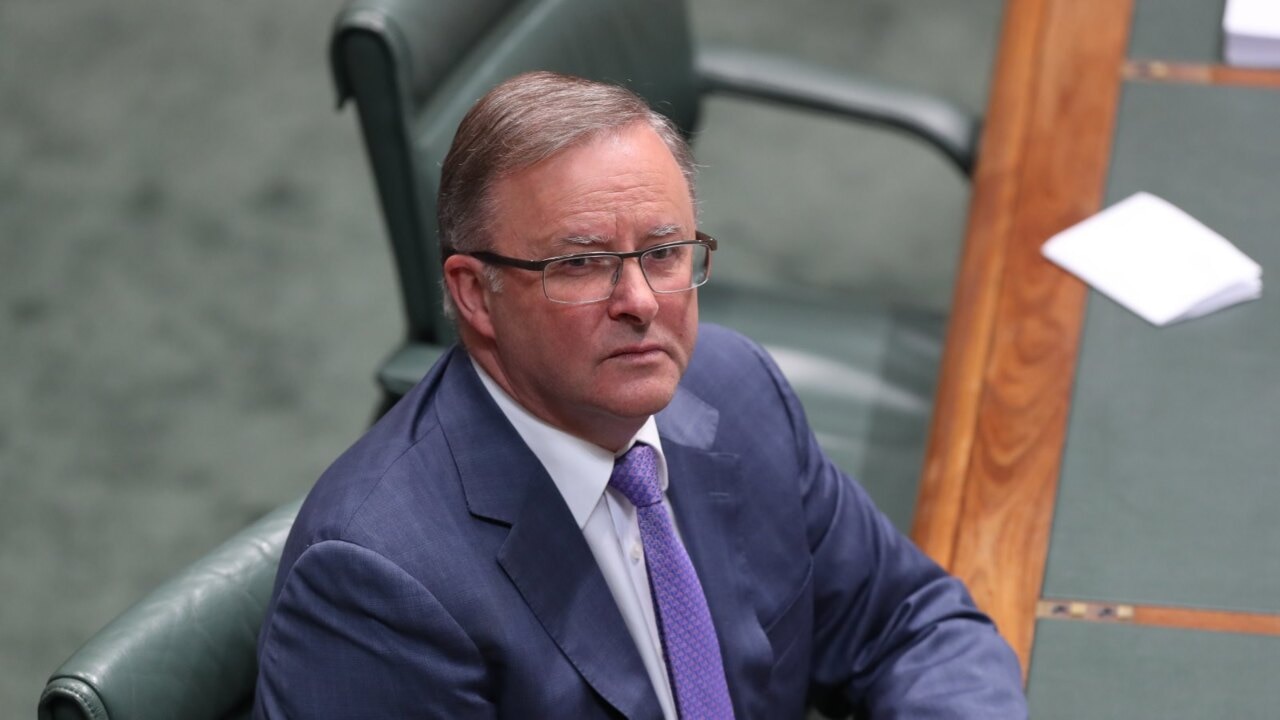 Albanese ‘hasn’t lost the election’ but his campaign is in ‘a lot of trouble’