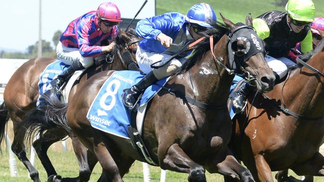 Kimberley Pearl ridden by Lachlan King wins the Cabinets by Webb Maiden Plate at Wangaratta Racecourse on December 10, 2022 in Wangaratta, Australia. (Photo by Ross Holburt/Racing Photos via Getty Images)