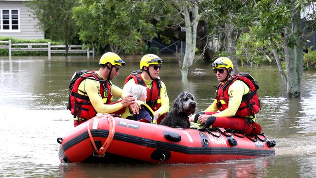 Lynne Gosse and Poppy the dog were rescued from their Chelmer home on Monday. Picture: Steve Pohlner