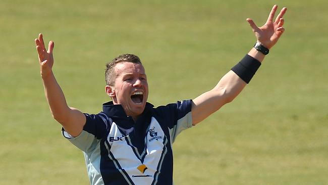 Peter Siddle is pushing his Ashes ambitions with some fine play for the Bushrangers.