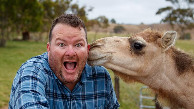 Cosi with one of his camels on his farm at Harrogate. Picture: Matt Turner