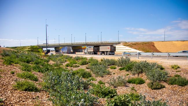 Almost one million native trees and shrubs are being planted alongside the new Northern Connector. Picture: DPTI