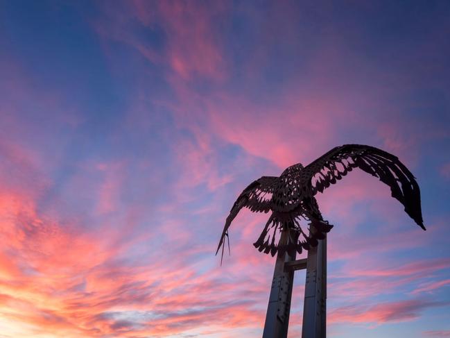 Brendan Shanahan - We Are Gold Coast. Kirra Eagle: Kirra Hill is a place with views all the way to Surfers and in between. Looking up isn't bad either.