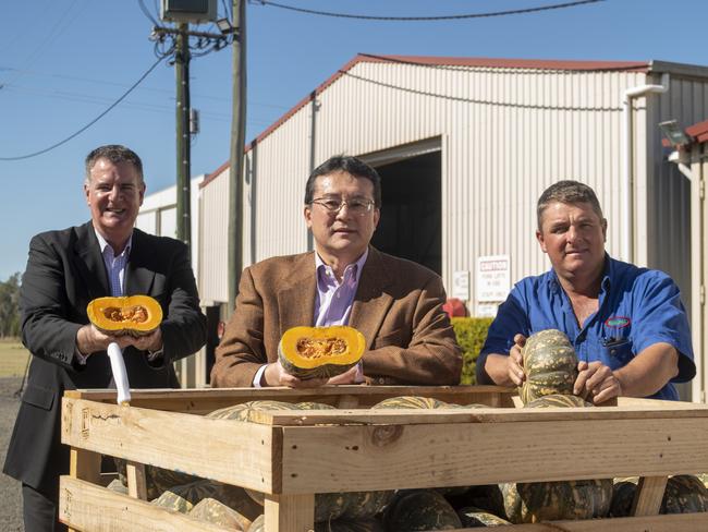 Minister Mark Furner, Japanese Counsul General in Brisbane Kazunari Tanaka and Qualipac director Troy Qualischefski, at the Qualipac packing sheds. PHOTO: ALI KUCHEL