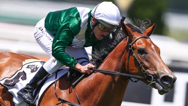 Classy filly Ebhaar can make it two from two in the Widden Stakes.