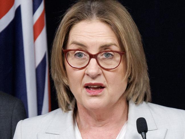 MELBOURNE, AUSTRALIA - NewsWire Photos - December 17, 2024:  Premier Jacinta Allan, Minister for Police Anthony Carbines and Minister for Multicultural Affairs Ingrid Stitt make an announcement at 1 Treasury Place. Picture: NewsWire /ÃDavid Geraghty