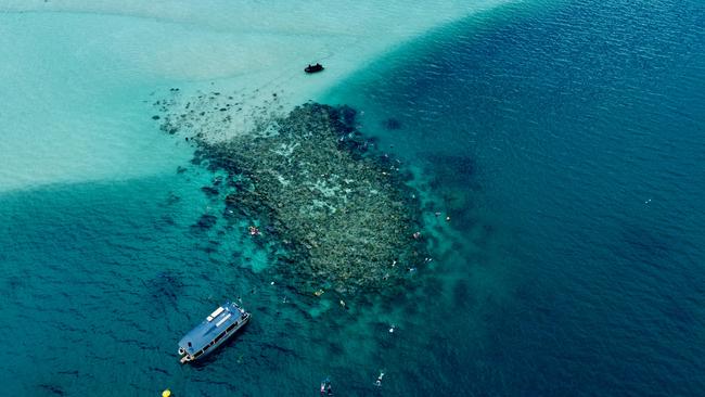 Coral Expeditions at Ashmore Reef in WA.