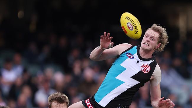 Sam Hayes. (Photo by Sarah Reed/AFL Photos via Getty Images)