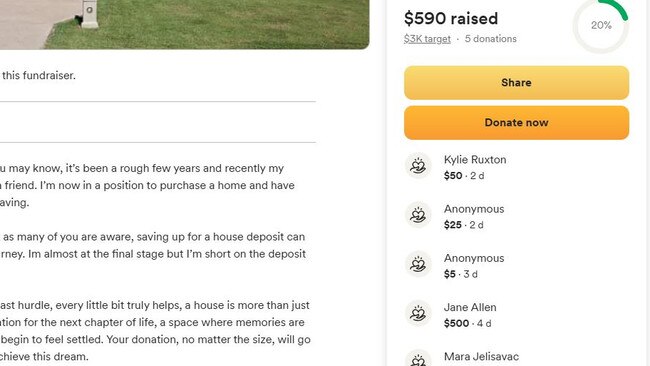 She's raised just over $500. Picture: Supplied