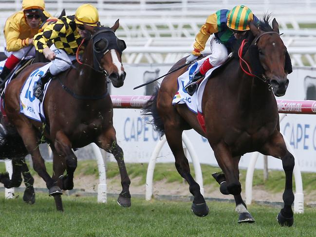 Ball Of Muscle and Craig Williams charge to victory in the Schillaci Stakes. Picture: Michael Klein