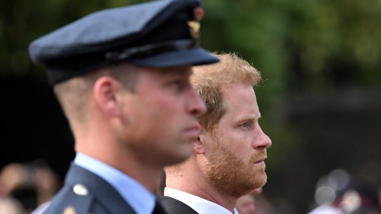 Relations between the brothers are at an all-time low. Picture: Loic Venance/AFP