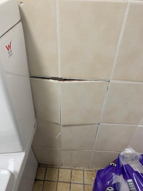 Bathroom tiles remained damaged. Picture: Supplied