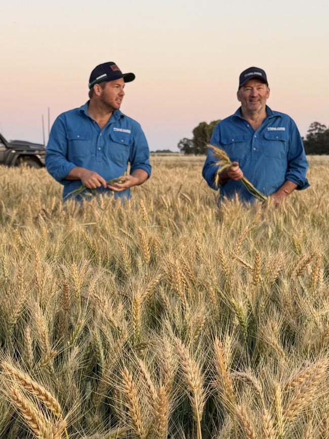 Coleambally farmers Joe Briggs and his father Greg pictured in a crop of wheat. Picture: Supplied