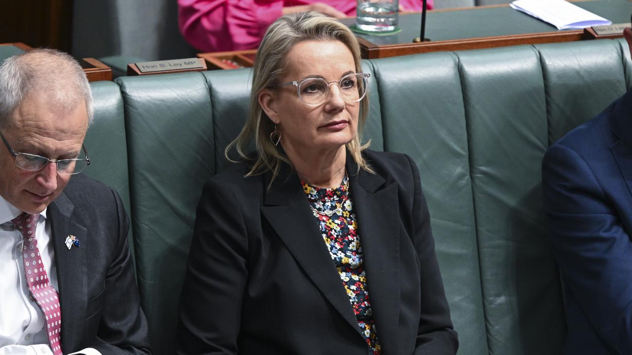 Deputy Opposition Leader Sussan Ley has condemned the white supremacist rally that took place in her electorate. Picture: NewsWire / Martin Ollman