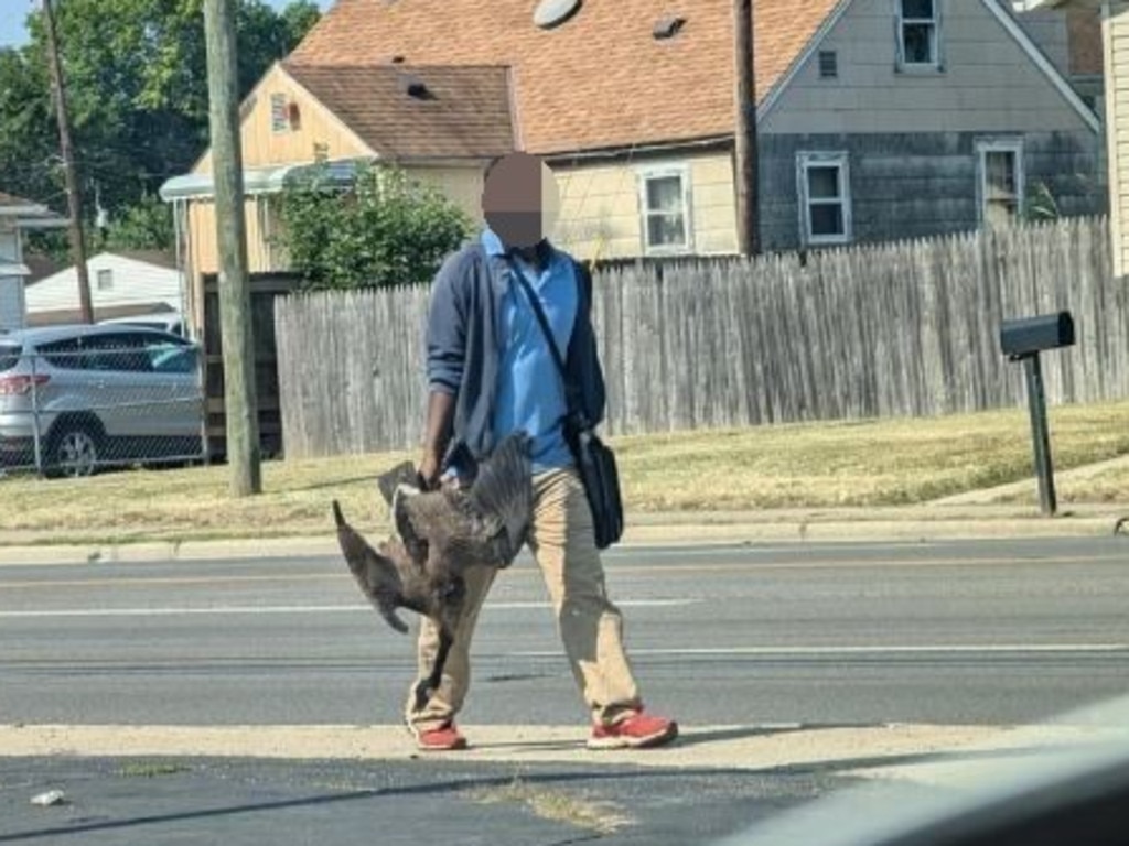 A man was spotted holding a goose in Columbus, 45 minutes away from Springfield. The man who took the photo said he was outraged it had been “weaponised” by “right-wingers”. Picture: Reddit