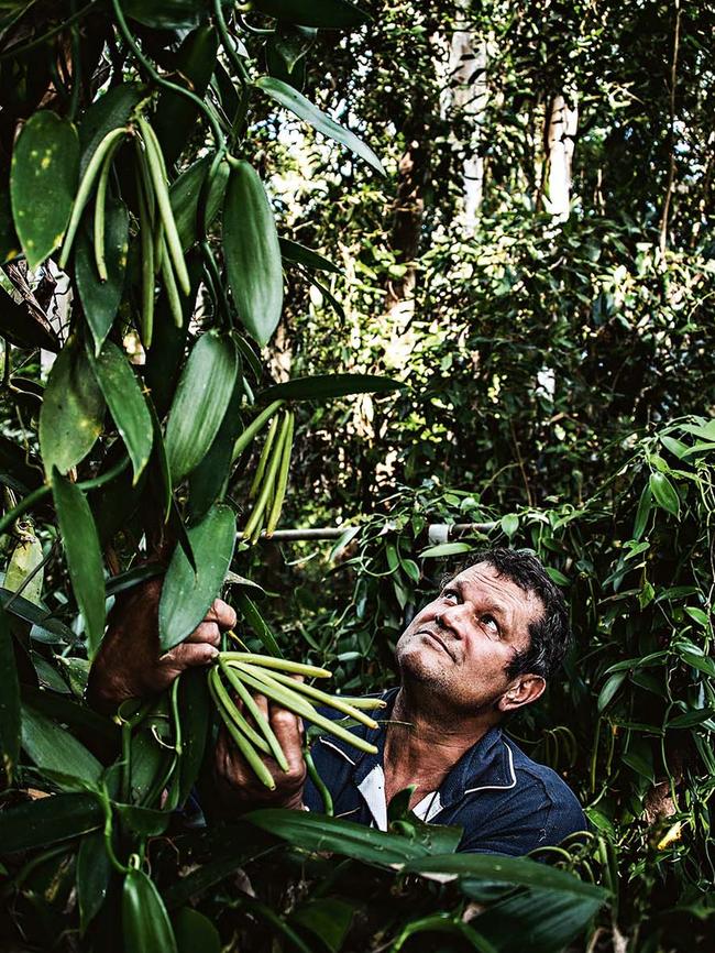 George Gonthier of Daintree Vanilla. Picture: Brian Cassey