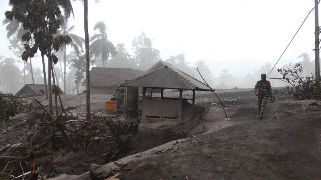 Indonesia’s Mount Semeru volcano death toll rises to 14 as thousands ...