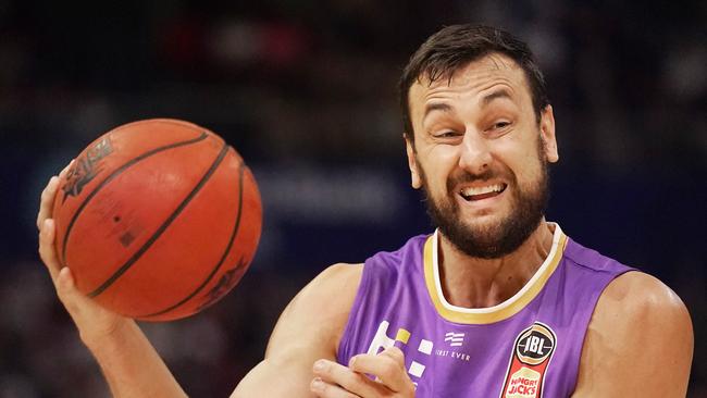 Andrew Bogut believes Will Magnay has the right traits to make it in the NBA.