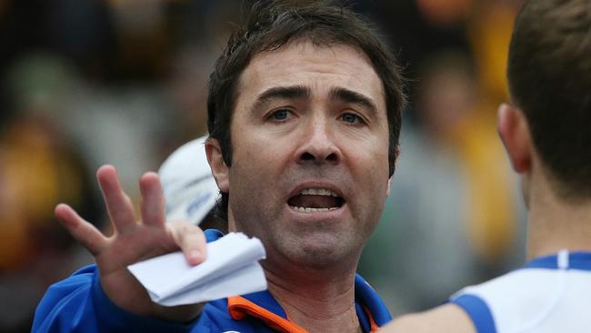North Melbourne coach Brad Scott. Picture: Wayne Ludbey
