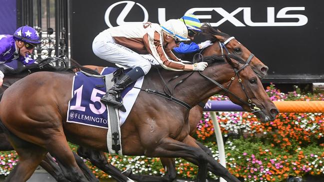 Legarto arrives in time to win the Australian Guineas last year. Picture: George Sal/Racing Photos via Getty Images