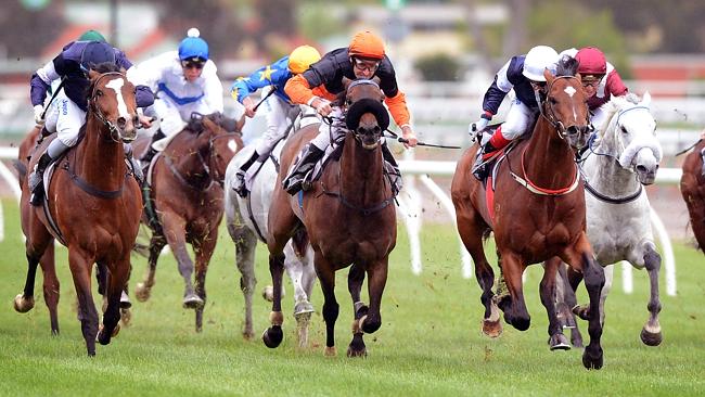 Melbourne Cup hope Seville (left) is on a hit-and-run mission to Randwick for The Metropolitan. 