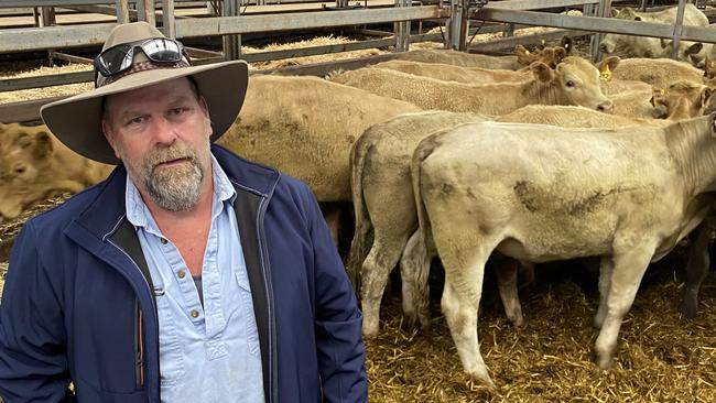 Jason Singe from Henty, NSW, with his Charolais-cross steers which weighed 333kg and made $2120, or 637c/kg, at the Wodonga cattle sale.