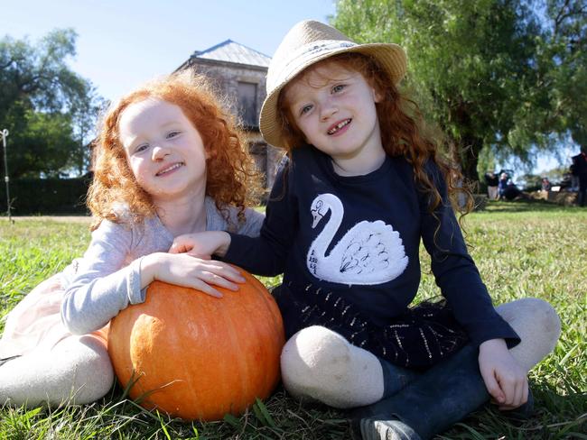 Lucie (4) and Arielle (5) with a large pumpkin.