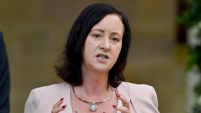 Health Minister Yvette D'Ath talks at a press conference at the Speakers Green, Parliament House. Picture: NCA NewsWire / John Gass